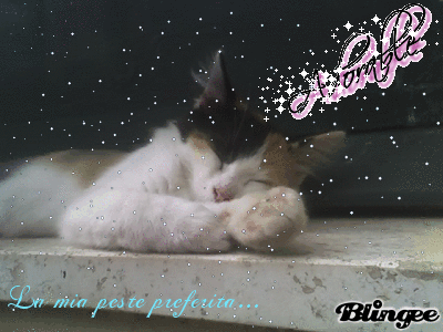 Birba