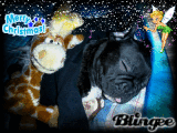 Blingee
