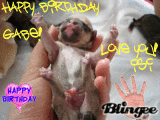 Happy Birthday Gabe! 