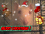 rat
