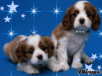 Mimi Y Popi Mimi Y Popi