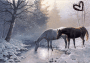 horses by a river horses by a river