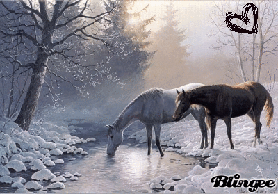 horses by a river horses by a river