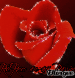 red roses are for u 