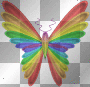 buttefly