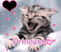 Cute Cute