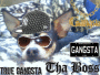 imma dogawn gansta imma dogawn gansta