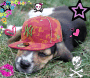 Cutee Cutee