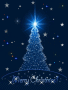 stary xmas night stary xmas night