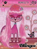 kitty glam kitty glam