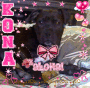 kona