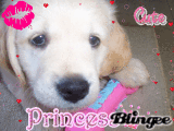 My litle princess cassie My litle princess cassie