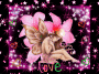 love love