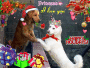 Princess,PLEASE, be mine for Christmas?? Princess,PLEASE, be mine for Christmas??