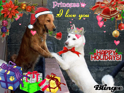 Princess,PLEASE, be mine for Christmas?? Princess,PLEASE, be mine for Christmas??