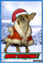 Merry christas and happy new year! Merry christas and happy new year!