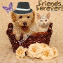 BEST FREINDS 4 EVA! BEST FREINDS 4 EVA!
