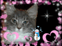 Test Blingee the cat Revis / Testbild Revis