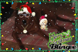 K-Bear's Christmas K-Bear's Christmas