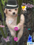 hang on little buddie hang on little buddie