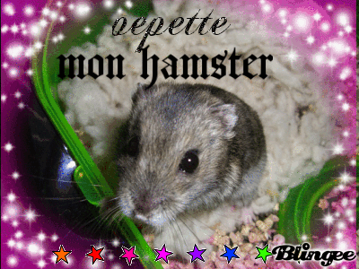 pepette pepette