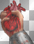 beating heart