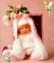 bébé lapin bébé lapin