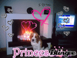 ThePrincessAndherDog