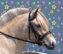 horsejumper5 horsejumper5