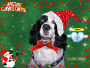 Maggies Christmas