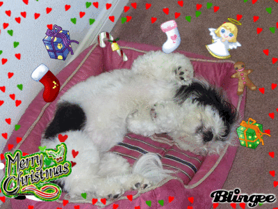 Lola's Christmas Dreams