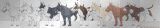 Bull Terrier Line