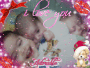 mes bebes mes bebes