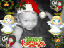 christany158