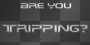 trippen