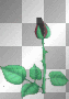 flower3