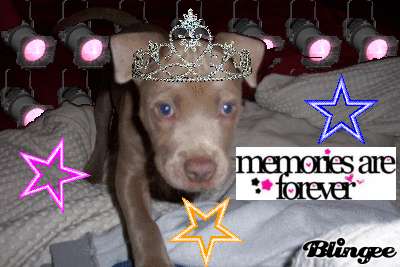 QUEEN of the O town QUEEN of the O town