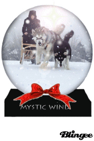 Minnesota Mystic Wind Malamutes