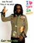 WILL I AM JAMES ADAMS JR.