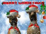 jingle dogs