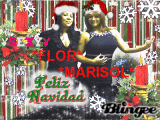 FLOR ,MARISOL