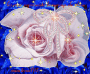 Glitter Graphics