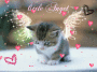 little angel