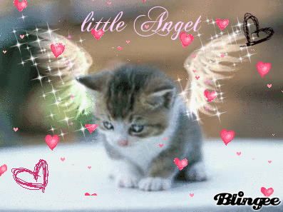 little angel