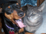 ruby and bob