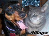 ruby and bob ruby and bob