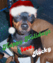 hh rocky
