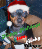 hh rocky