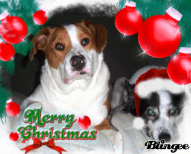Happy Holidays