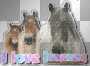 I love horses